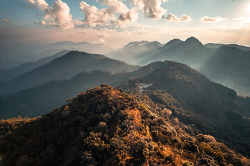 李国庆的人物履历